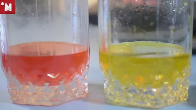 Муравьи и цветная вода. Цвет имеет значение смотреть онлайн