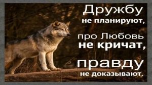 Смотрите в жизни за собой