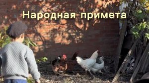 «Народная примета»