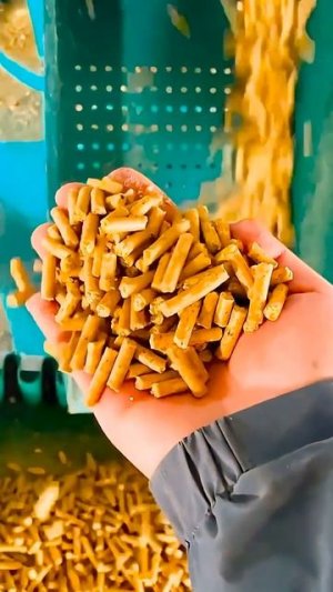 Деньги из опавших листьев! 🍂💰