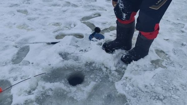 Светлые Горы Форель4 05.01.2026г.