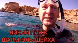 ШАРМ-ЭЛЬ-ШЕЙХ / Дикий пляж / декабрь 2025