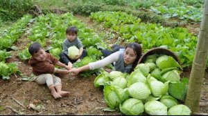 Собираю гигантскую капусту и везу ее на рынок для продажи. Заботимся об утятах и огороде. Дуонг