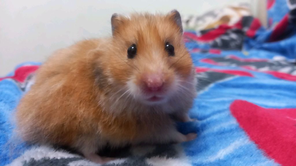 скукатища смотреть онлайн