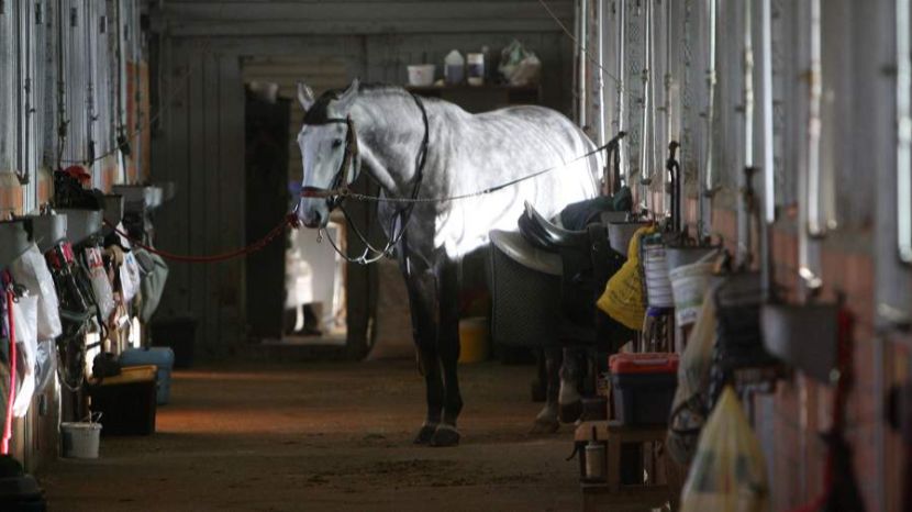 Народные приметы на 5 января: что можно и нельзя делать смотреть онлайн