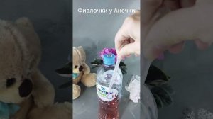 3 удобрения, которые я применяю для своих фиалок