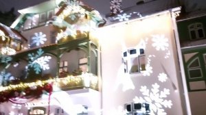 Светлогорск- 4.01.2026.