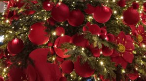 Зима в Москве 2026. От елок ЦУМа к "мандариновому Арбату"