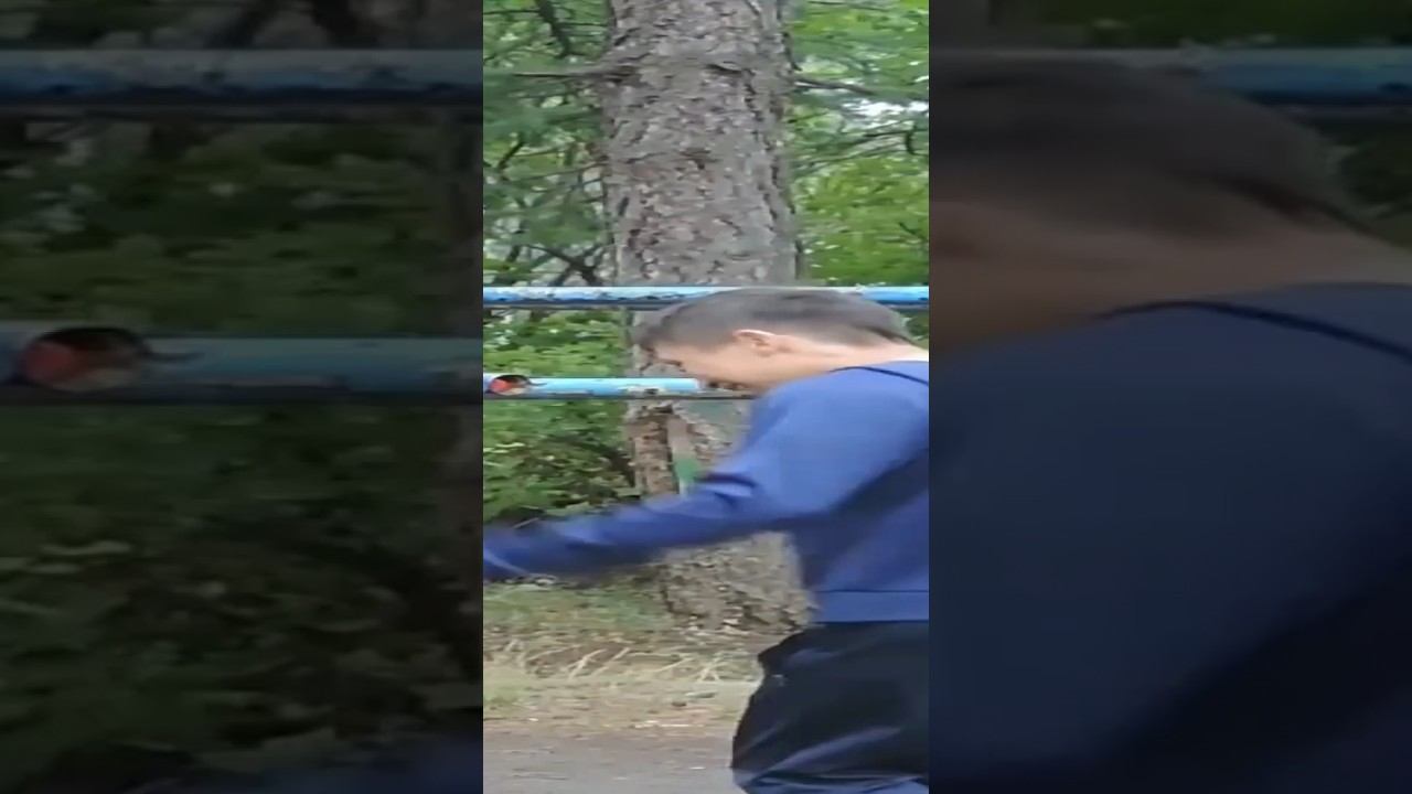 20 dips non stop смотреть онлайн