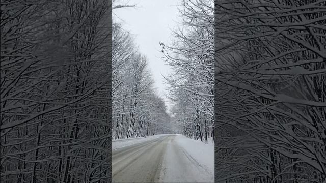 Дорога Лагонаки 30 декабря 2025 смотреть онлайн