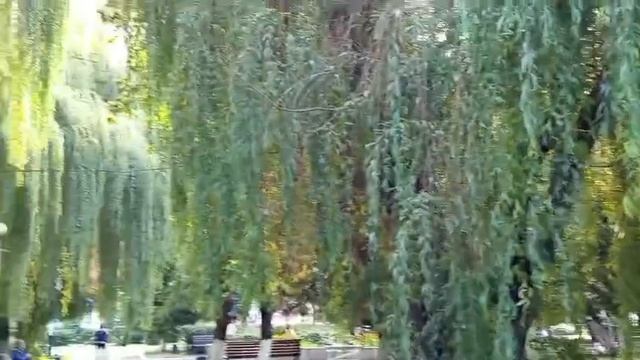 #вспомним лето смотреть онлайн