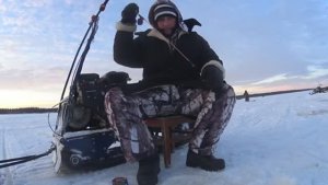 Рыбалка в АРКТИКЕ НА ГАЛСТУК Ловились дикие КОРЮХА С ЧЁРНЫМИ СПИНАМИ.