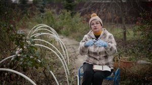 Розы. Как укрывать розарий в средней полосе России. Наталия Петренко.