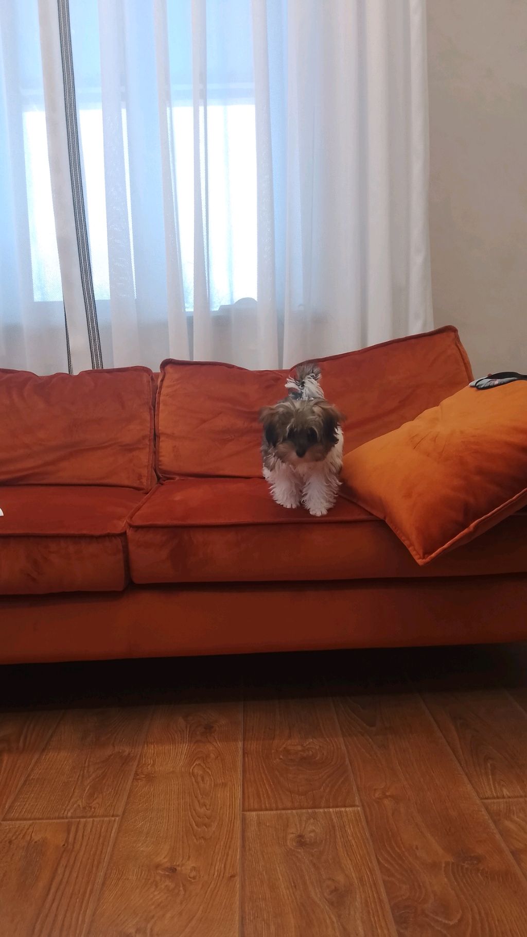 мой пёсик 💖 часть 2