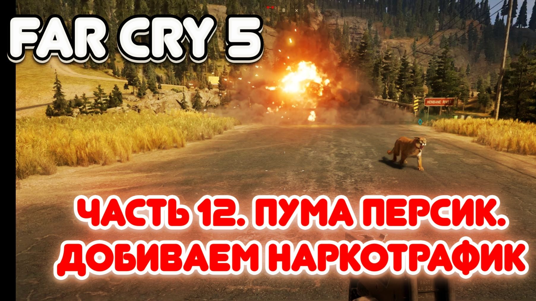 Часть 12. Пума персик. Добиваем наркотрафик.