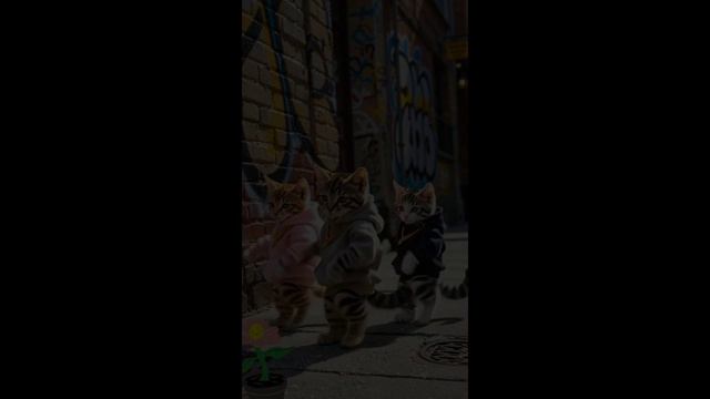 Мы готовим босанову.