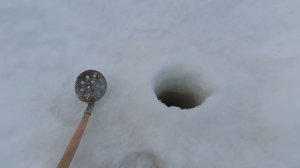 Крупные👍👍👍 окуни на мормышку.