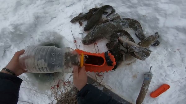 Река Енисей. Ловля налима на перемёт.