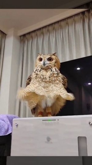 Мэрилин Монро 🥰