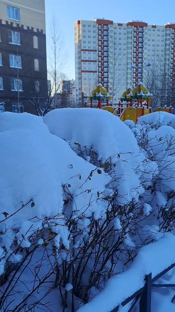 мороз и солнце! день чудесный!