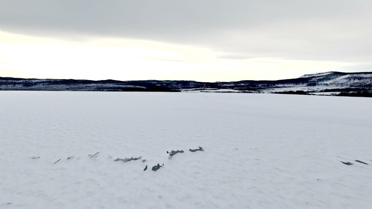 холодное грэс шарыпово dji air 3 смотреть онлайн