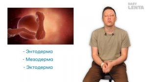 5 неделя беременности что происходит с плодом и что чу?