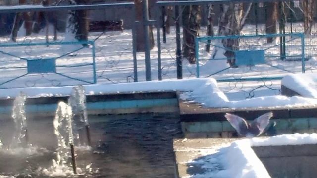 Вы такое видели? Зимние "термобани"! смотреть онлайн