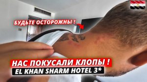 Египет🇪🇬 НАС ПОКУСАЛИ КЛОПЫ❗Обзор отеля El Khan Sharm Hotel 3* Нормальная тройка после кошмара