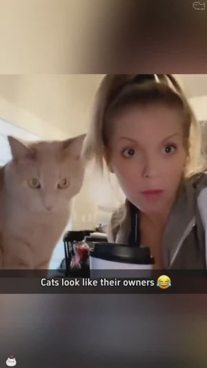 🤣Повторялки которых мы обожаем🤣