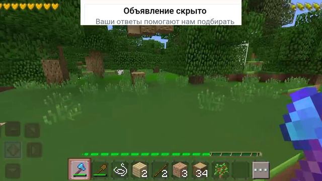играем с братом в Майнкрафт
