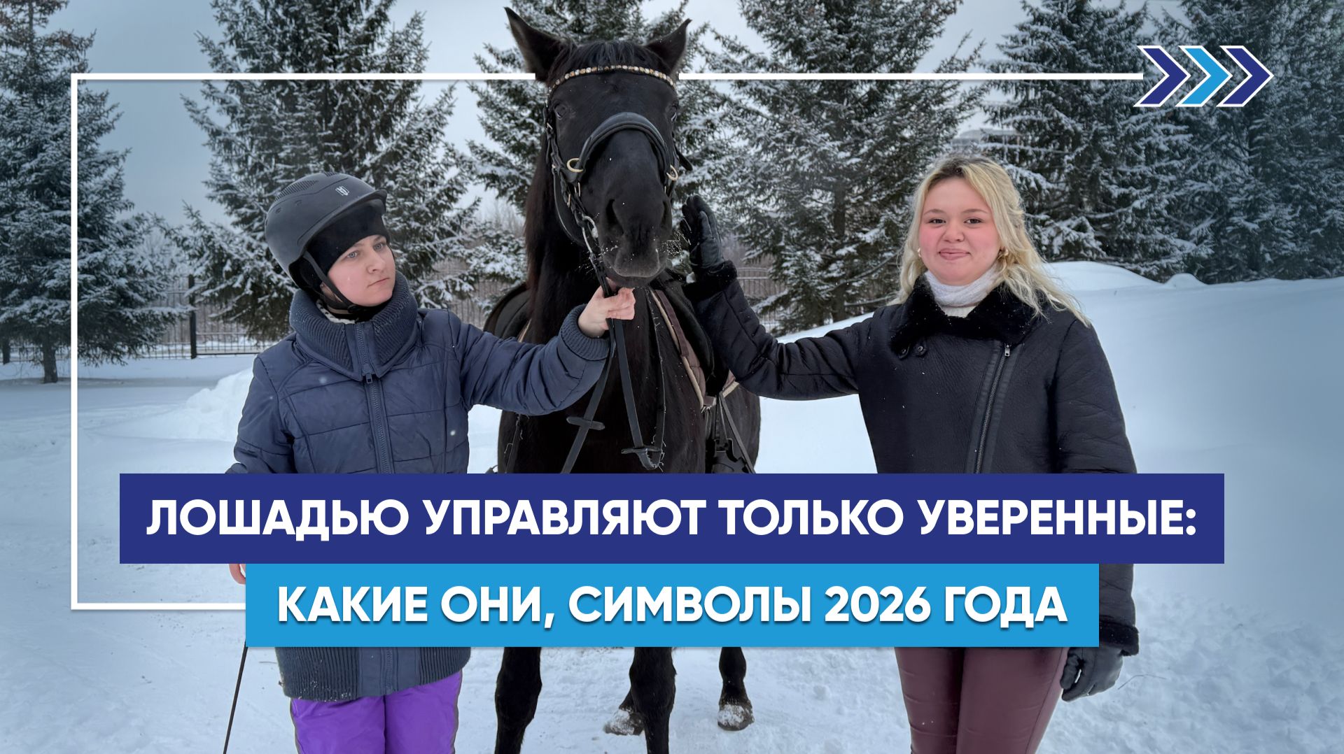 «Управлять лошадью невозможно, если вы неуверенный в себе человек» смотреть онлайн