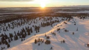 🎥_До свиданья, осень_🎶 - Павел Шевченко feat. Suno AI