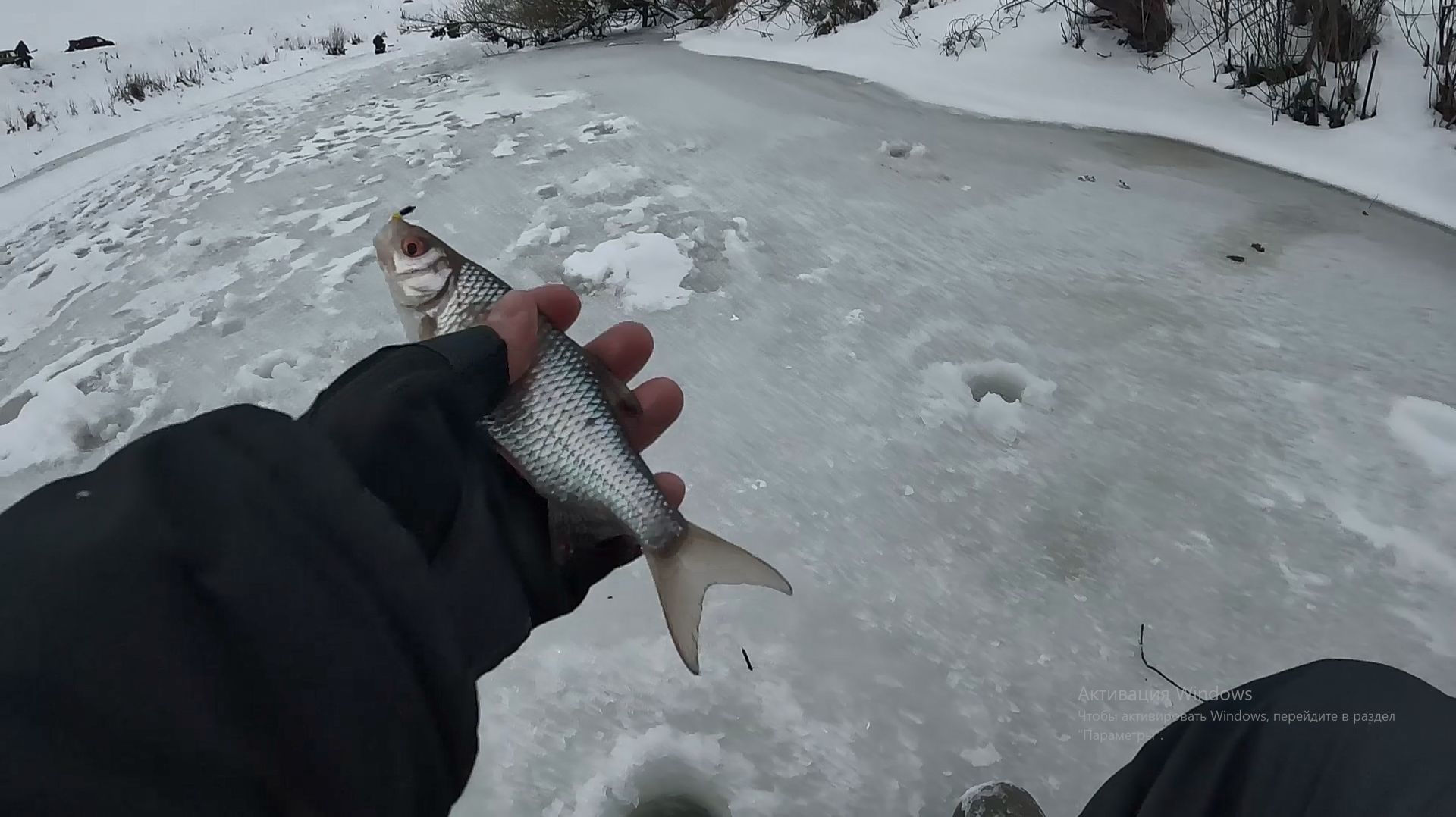ЛОВЛЯ ОКУНЯ и ПЛОТВЫ ЗИМОЙ на безмотылку смотреть онлайн