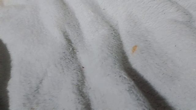 скибиди туалет (8 серия 4 часть)