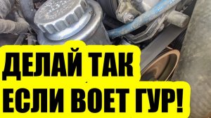 ГУР воет при повороте руля? Основные причины и что делать?