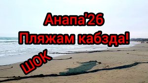 91 #Анапа #SOS #спасите наши пляжи #сети уходят в море #серфинг в Анапе 05-01-2026