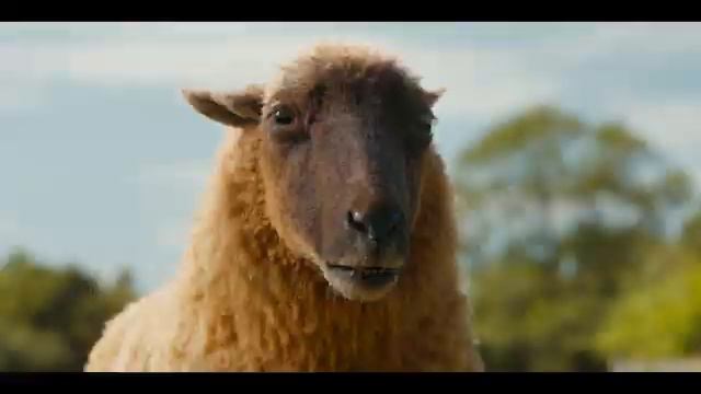 Следствие ведут Овечки—Русский трейлер (дубляж) смотреть онлайн