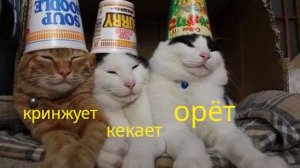 Мемы как социальное явление