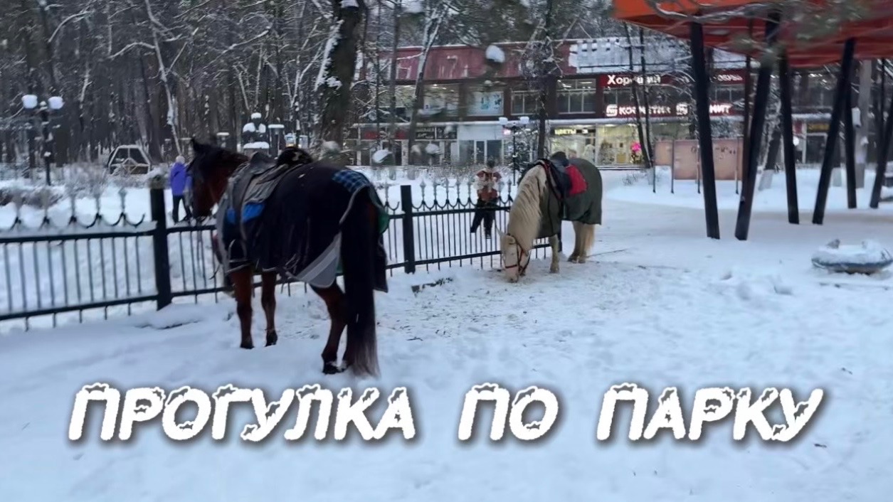 ПРОГУЛКА ПО ПАРКУ 🌲 смотреть онлайн