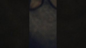 п ты на кого обливаешься