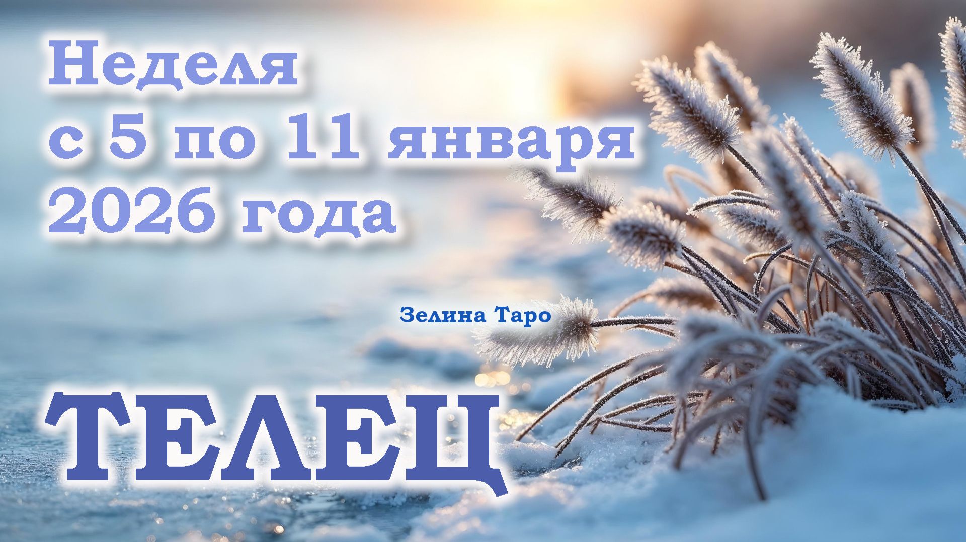 ТЕЛЕЦ | ТАРО прогноз на неделю с 5 по 11 января 2026 года смотреть онлайн