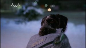 Клип "Музыка Рождества"