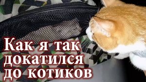 Про работу... кто, где, как это всё получилось