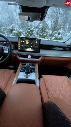 Tank 500: большой и рамный, без ложки дёгтя? Блондинка на Танке, честно о владении.