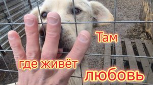 На что мы собирали ДЕНЬГИ/На это невозможно смотреть спокойно/Были там где всегда рады и ЖДУТ