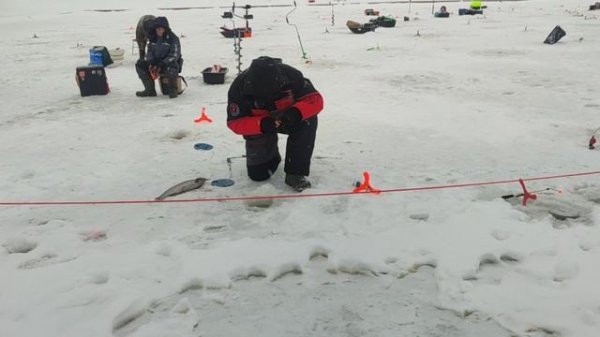 video5393151383744578671