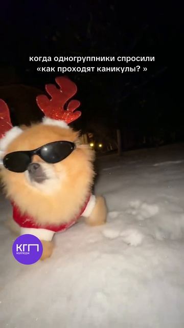 А как проходят ваши каникулы? 😉