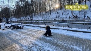 04.01.26 Центральный парк Динамо