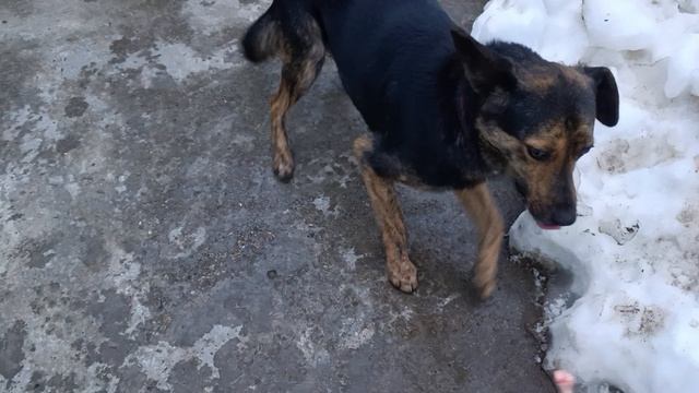 Спасибо Вам Большое смотреть онлайн