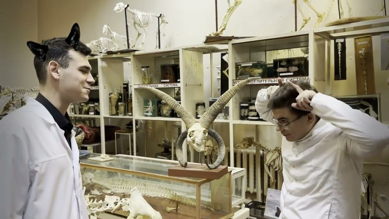 для мотивации)